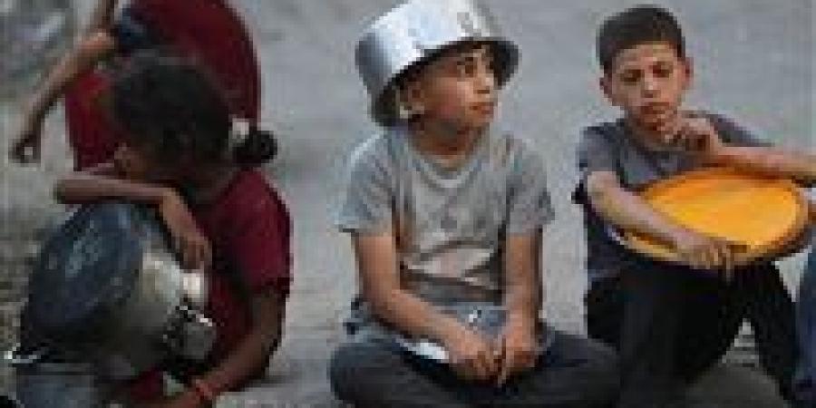 «بعد فيديو الرهينة الجائع».. إسرائيل تعلن السماح بإدخال البضائع إلى غزة عبر تجار محليين - بلس 48