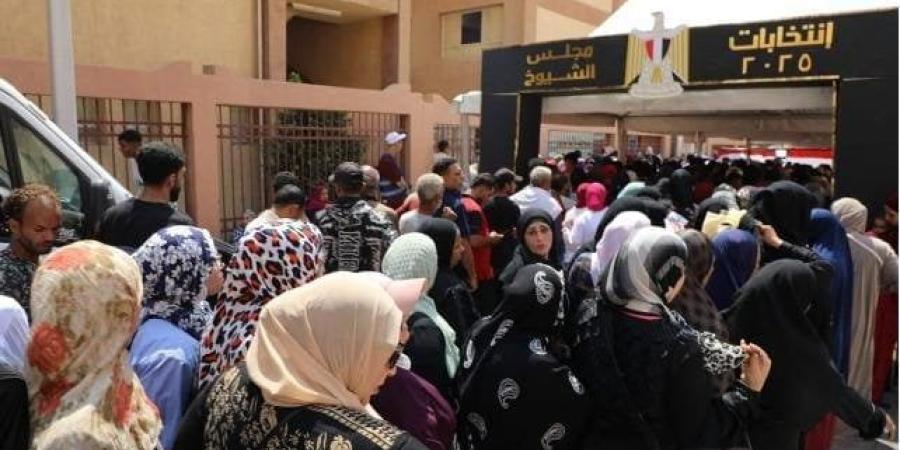 انتخابات الشيوخ 2025.. 8286 مقرا يستقبل الناخبين في ثاني أيام التصويت بأنحاء الجمهورية - بلس 48