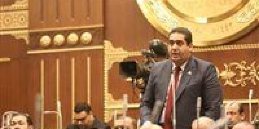 مرشحا مستقبل وطن وليد التمامى وحماة الوطن أمير الصديق يحصلان على 50%+1 بانتخابات الشيوخ في دمياط .. وينتظران قرار الهيئة الوطنية النهائى - بلس 48