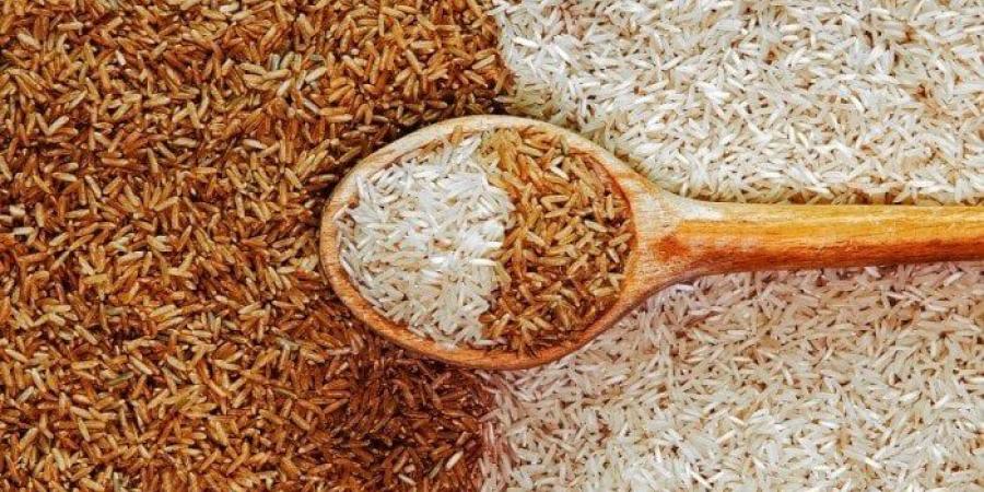 سعر طن الأرز الشعير اليوم الأربعاء 6 أغسطس 2025 - بلس 48