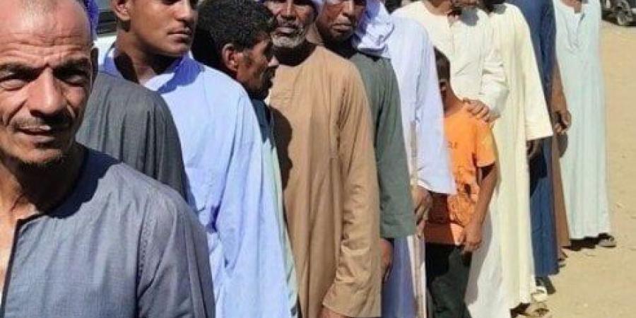 المؤشرات الأولية لنتائج انتخابات مجلس الشيوخ بأسوان - بلس 48