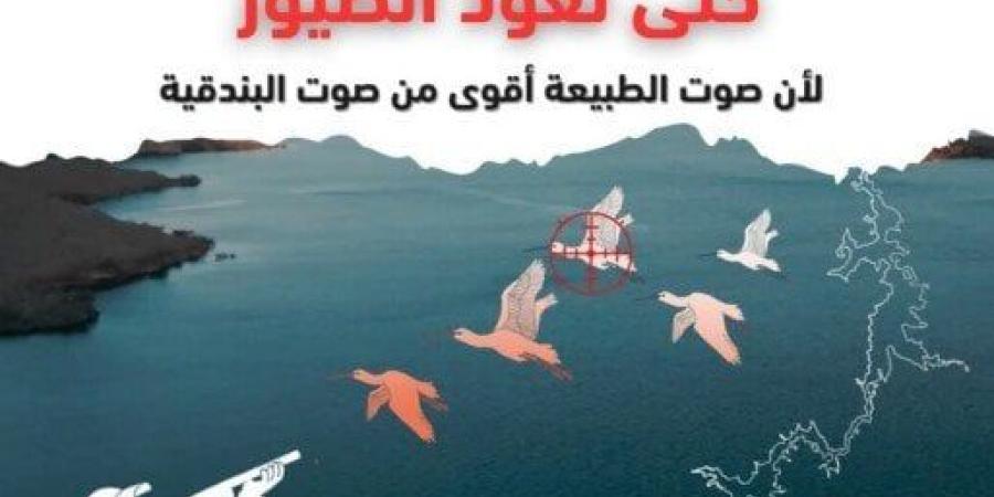 «حتى تعود الطيور».. صرخة من أجل حياة تُحلِّق في السماء - بلس 48