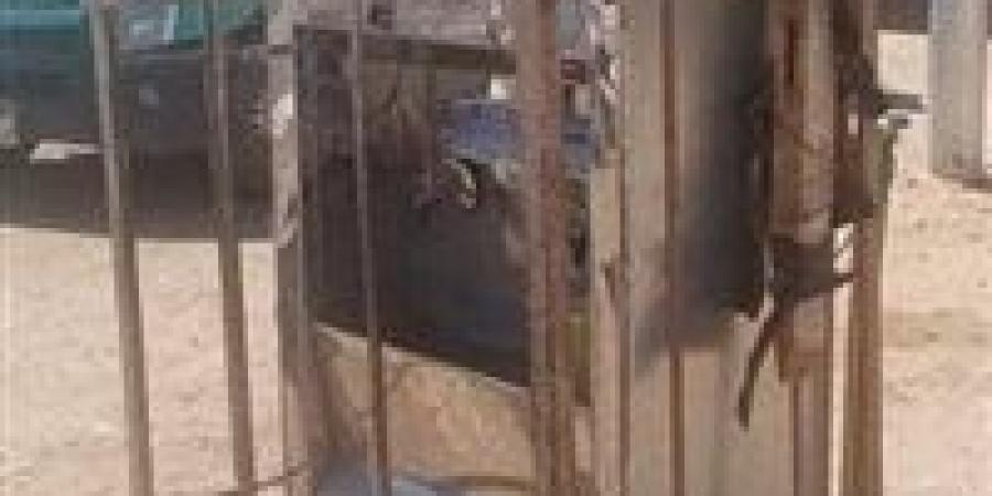 ملحقتش تشرب.. مصرع طفلة صعقها كولدير مياه بالمنيا - بلس 48