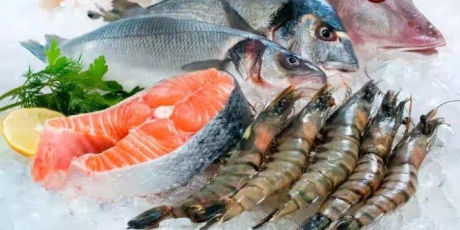 أسعار الأسماك اليوم الخميس 7 أغسطس 2025 - بلس 48