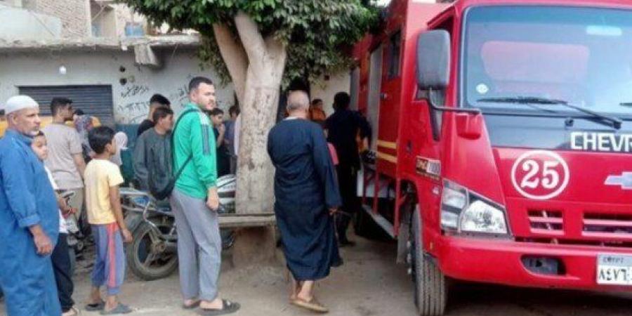 حريق يلتهم حظيرة ماشية بالمنوفية - بلس 48