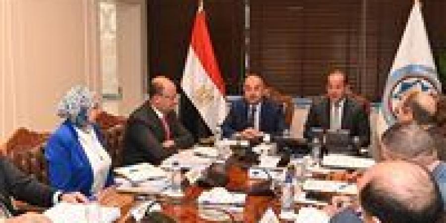 وزيرا قطاع الأعمال العام والمالية يبحثان تعزيز التعاون في عدد من الملفات المشتركة - بلس 48