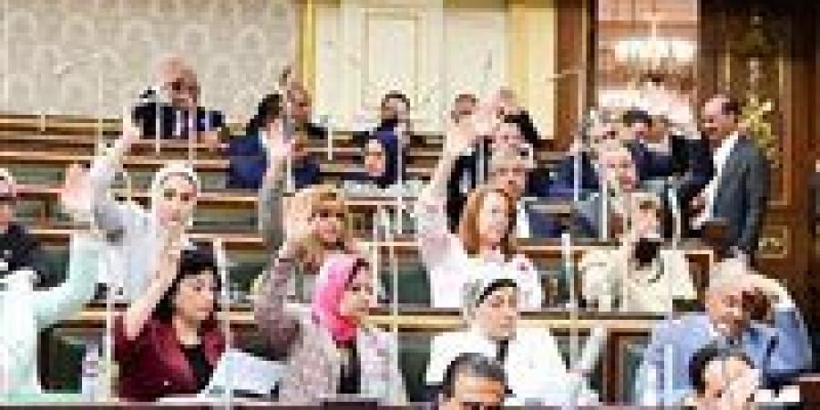بالأرقام  والتواريخ .. مسيرة وجود المرأة المصرية تحت قبة البرلمان - بلس 48