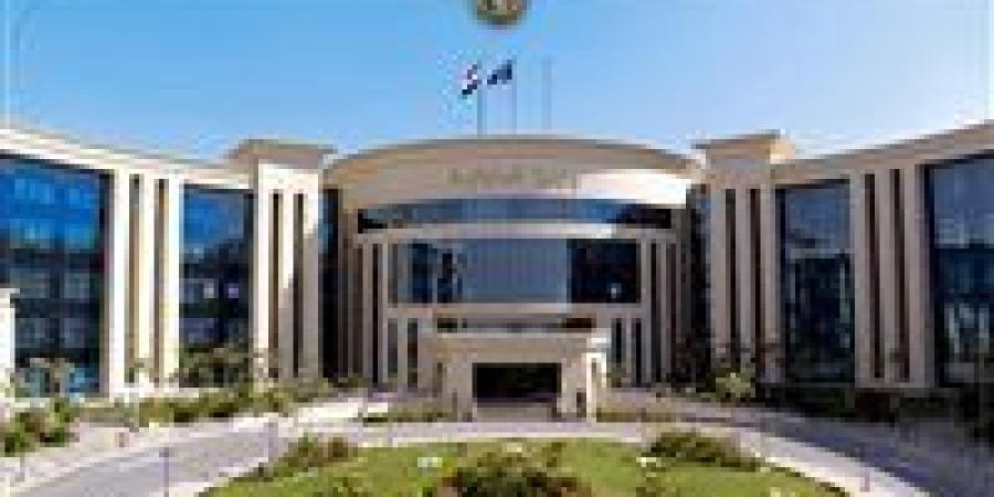 الداخلية تضبط صانع محتوى لنشره مقاطع خادشة للحياء بالتجمع الأول - بلس 48