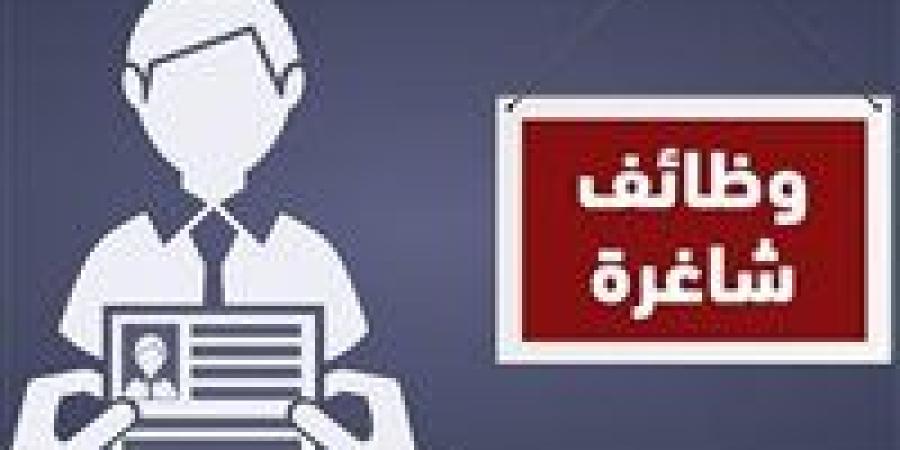 12 وظيفة خالية بقطاع البترول بمختلف التخصصات |تفاصيل - بلس 48