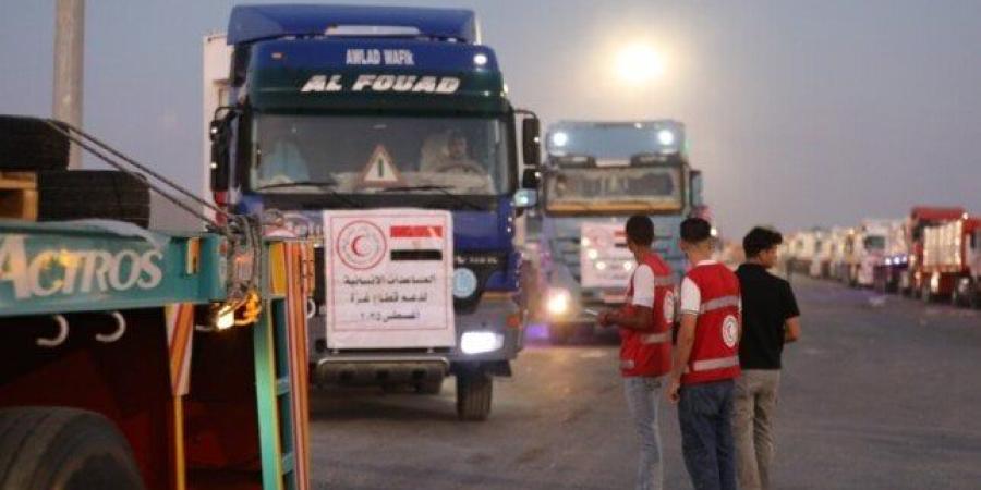 محمّلة بـ 2300 طن مساعدات.. انطلاق القافلة الـ 12 من «زاد العزة» عبر معبر كرم أبو سالم - بلس 48