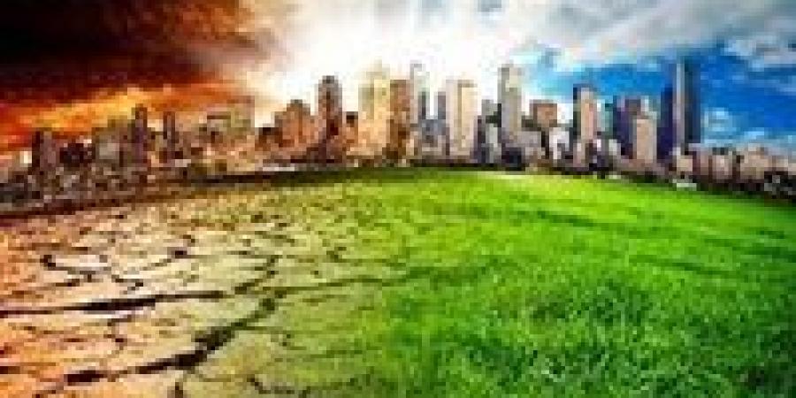 تغير المناخ وتهديد الأمن الغذائي العالمي|تفاصيل - بلس 48