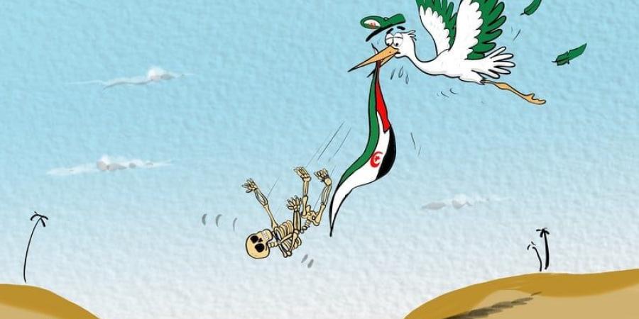ضحايا
      الأوهام - بلس 48