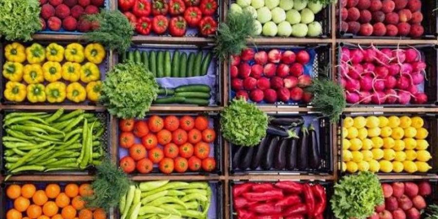 أسعار
      الخضراوات
      اليوم
      الثلاثاء
      بسوق
      العبور..
      وصلت
      لكام - بلس 48