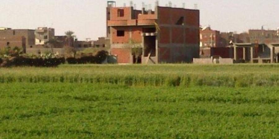 تحديات الأمن الغذائي بالمغرب.. أراضي زراعية محدودة في مواجهة زحف العمران - بلس 48