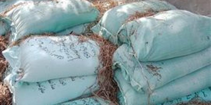 ضبط
      2.5
      طن
      دقيق
      بلدي
      مدعم
      داخل
      حظيرة
      ماشية
      بشبراخيت - بلس 48