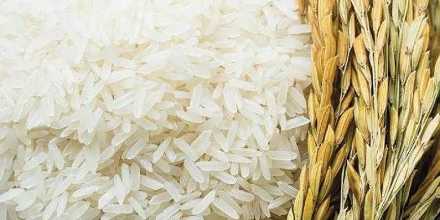 سعر
      طن
      الأرز
      اليوم
      الأحد
      عند
      التاجر..
      اعرف
      وصلت
      لكام - بلس 48