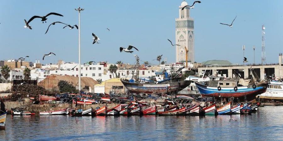 دعا
      الملك
      إلى
      تفعيله
      الأمثل
      ..
      هذه
      أبرز
      مضامين
      القانون
      المتعلق
      بالساحل - بلس 48