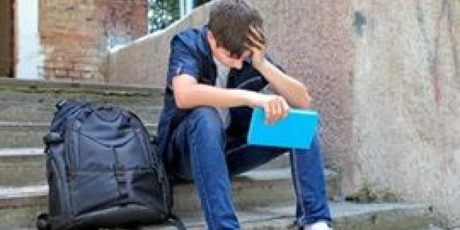 القضاء
      يرفض
      طعن
      والدة
      طالب
      في
      قرار
      الرسوب
      بإحدى
      المدارس
      الثانوية
      الايطاليه - بلس 48