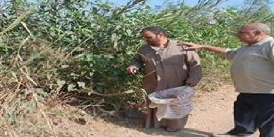 إستعداداً
      لزراعة
      المحاصيل
      الشتوية..
      إنطلاق
      فعاليات
      الحملة
      القومية
      لمكافحة
      القوارض
      بمراكز
      ومدن
      الشرقية - بلس 48