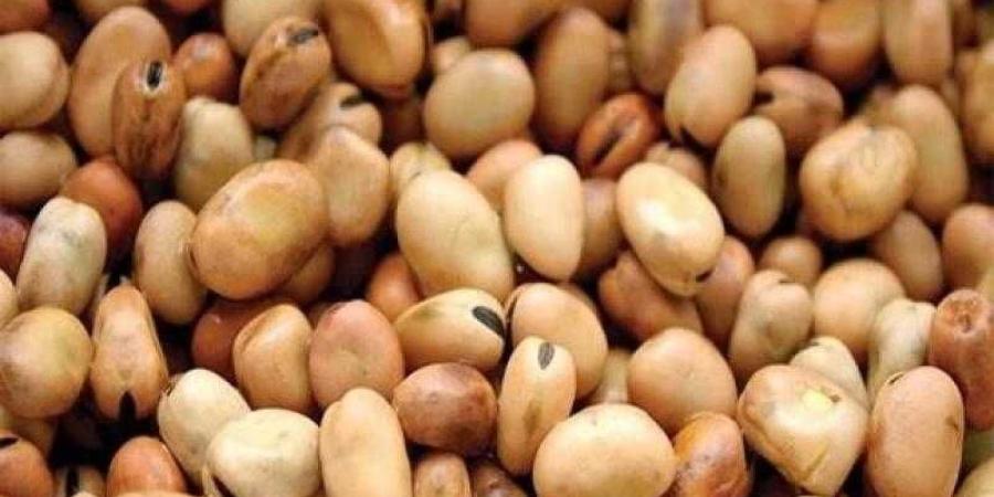 سعر
      الفول
      اليوم
      الثلاثاء
      عند
      التاجر..
      العريض
      النهاردة
      بكام - بلس 48