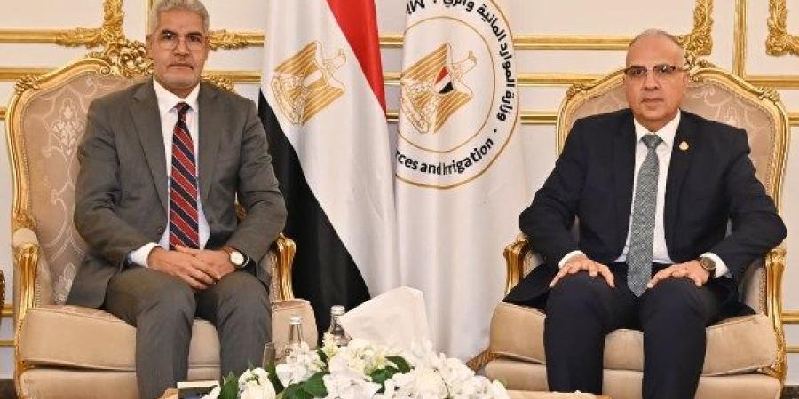 الدكتور سويلم يلتقي وزير الزراعة الموريتاني ضمن فعاليات "أسبوع القاهرة الثامن للمياه" - بلس 48