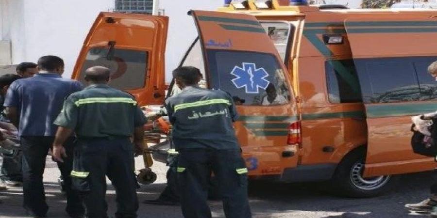 6 مصابين في انقلاب ميكروباص على طريق أسيوط الصحراوي بالفيوم - بلس 48