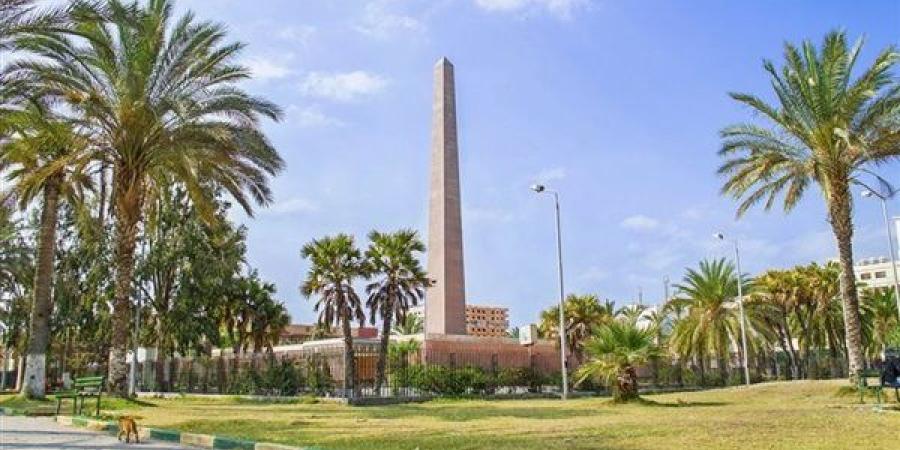 جمال
      القاهرة
      رجع
      تاني..
      شوف
      اللي
  ... - بلس 48