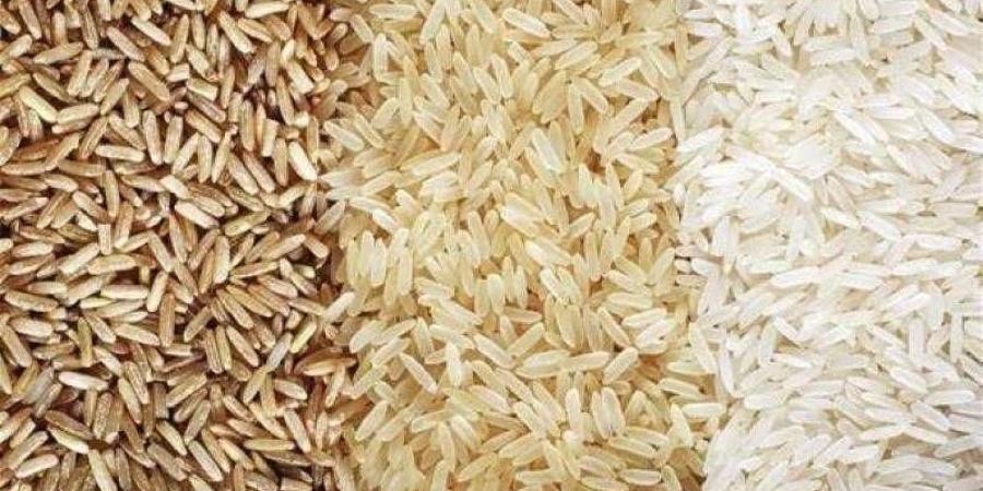 سعر
      الأرز
      الشعير
      اليوم
      الأربعاء
      عند
      التاجر..
      الطن
      وصل
      لكام - بلس 48