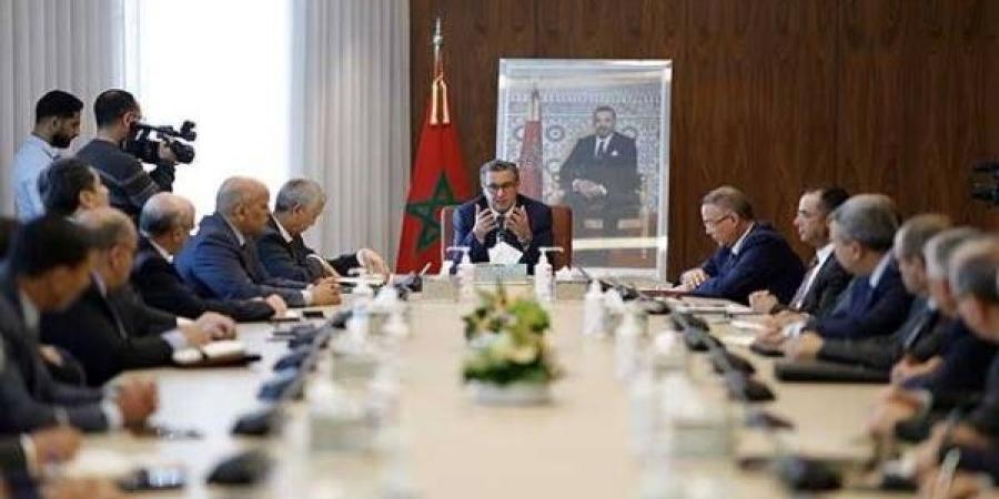 المصادقة على مشروع يحدد شروط وكيفيات إنجاز واستغلال منشآت الإنتاج الذاتي للطاقة الكهربائية - بلس 48