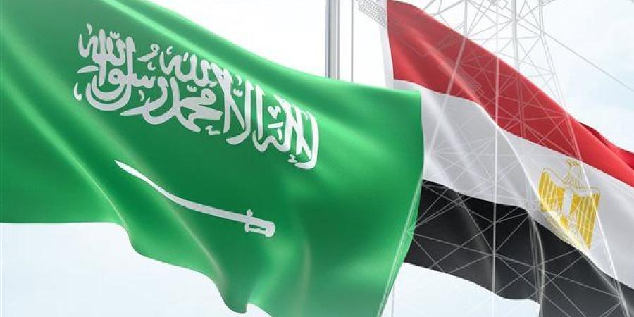 رسميا..
      تشغيل
      الربط
      الكهربائي
      بين
     ... - بلس 48