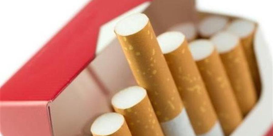 الضرائب
      المصرية:
      لا
      صحة
      لزيادة
      ... - بلس 48