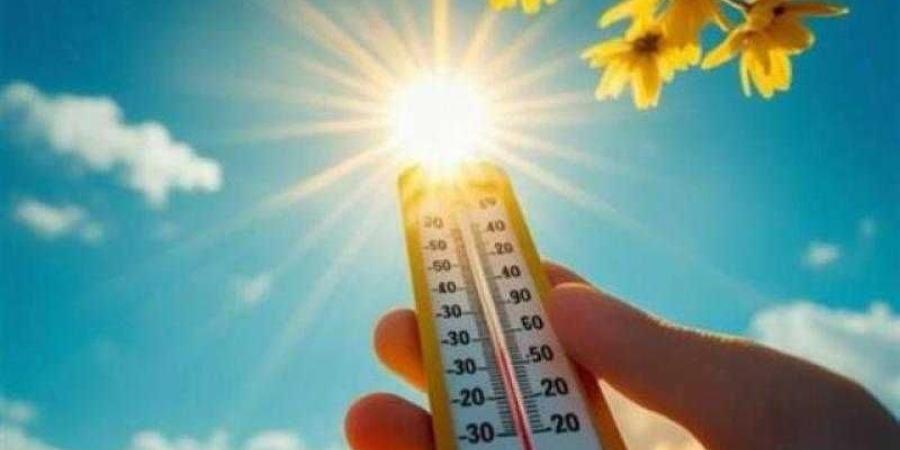 الأرصاد:
      طقس
      خريفي
      حار
      نهارًا
      ومائل
      للبرودة
      ليلًا - بلس 48