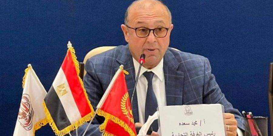 محمد سعده من بروكسل: شرق بورسعيد جاهزة لاستقبال استثمارات الاتحاد الأوروبي - بلس 48