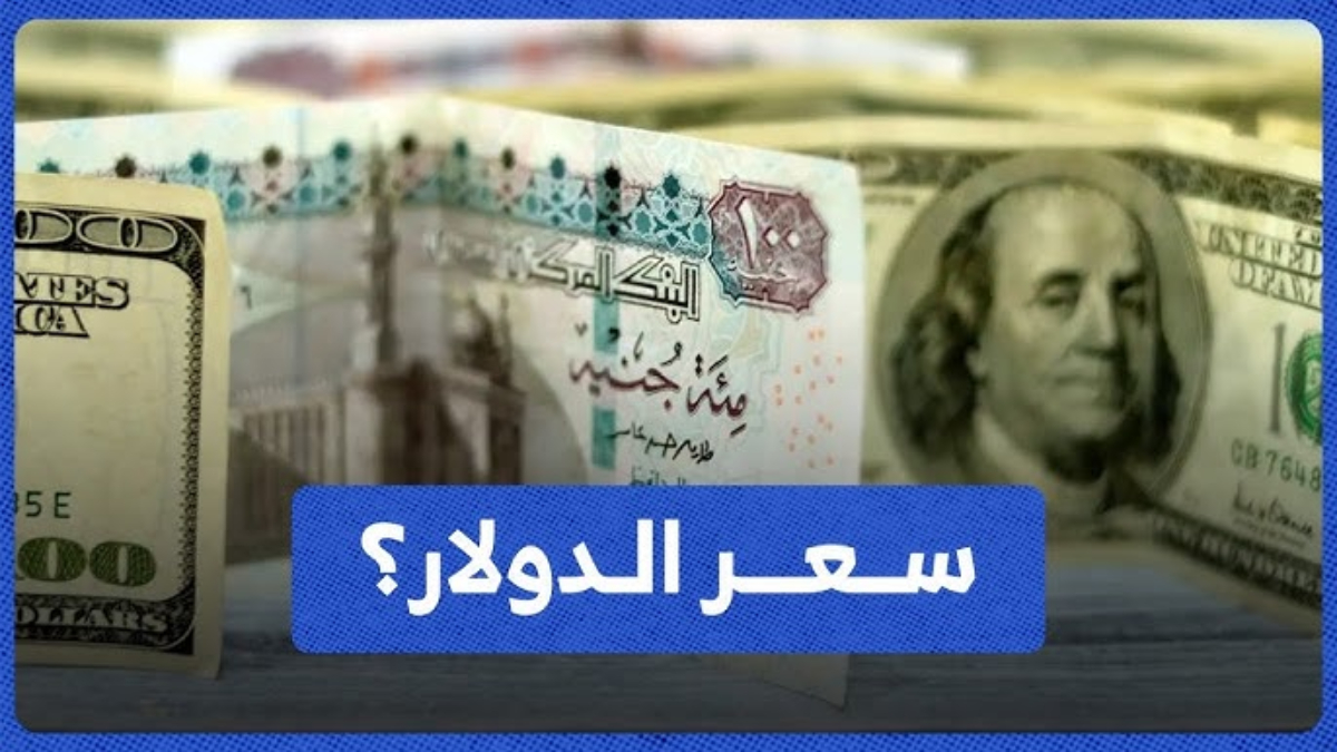 استقرار سعر الدولار اليوم مقابل الجنيه المصرى في ختام شهر ديسمبر 2024.. العوامل المؤثرة على الأخضر