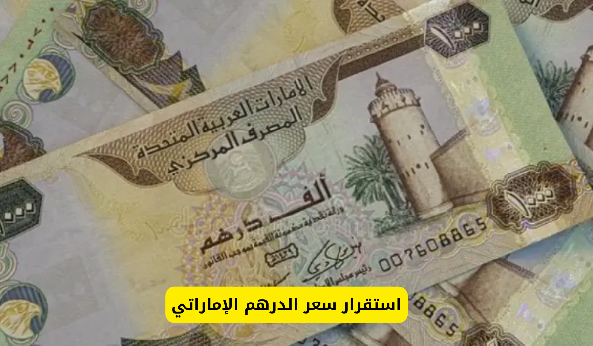 سعر الدرهم الاماراتي مقابل الجنيه المصري في تعاملات اليوم الأحد 29-12-2024 بالبنك