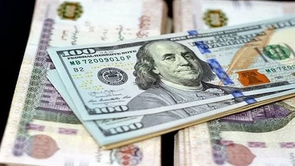 الدولار في مصر الآن.. سعر صرف “الأخضر” اليوم الأربعاء 25-12-2024