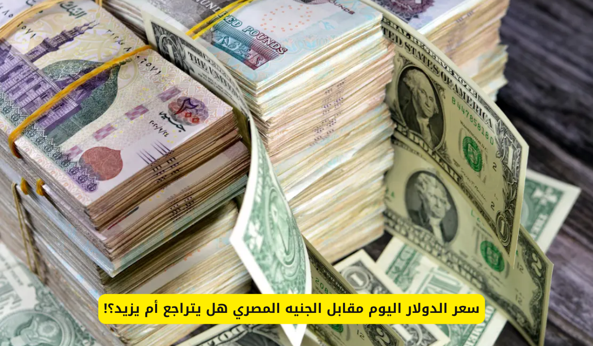 سعر الدولار مقابل الجنيه المصري اليوم الإثنين 30 ديسمبر 2024.. تراجع رسمي في البنوك