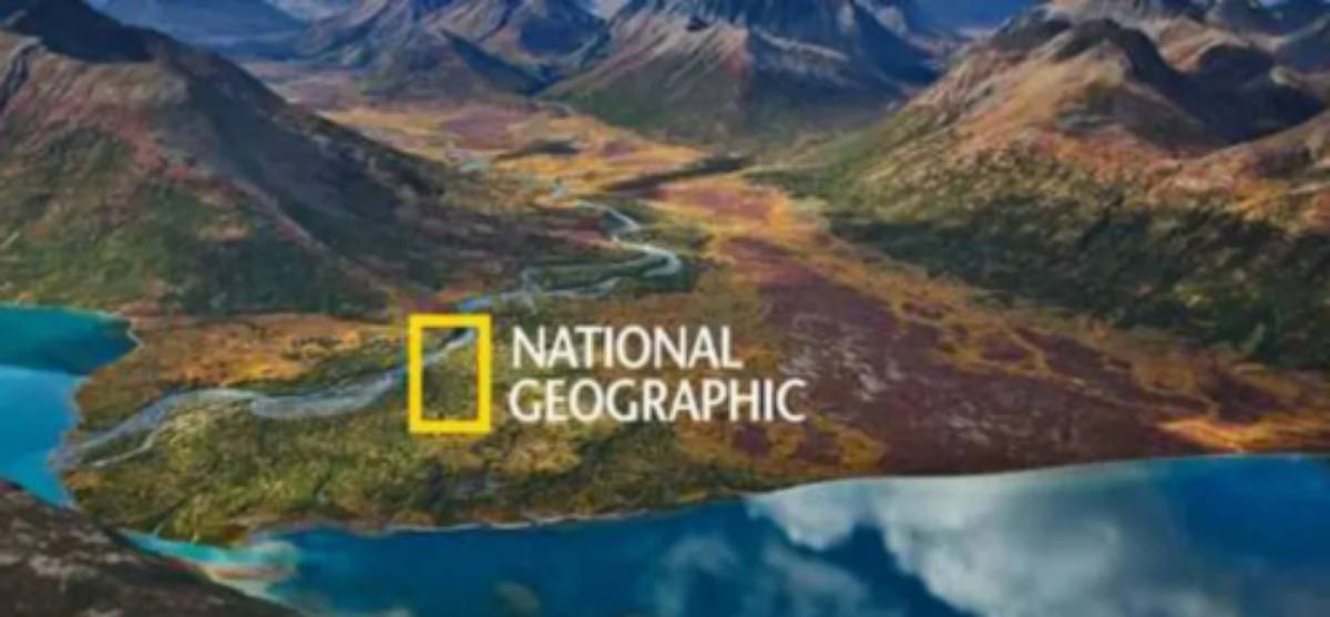 “عالم الحيوان والطبيعة” تردد قناة ناشيونال جيوغرافيك National Geographic الجديد 2025 عبر نايل وعرب سات بحودة عالية hd