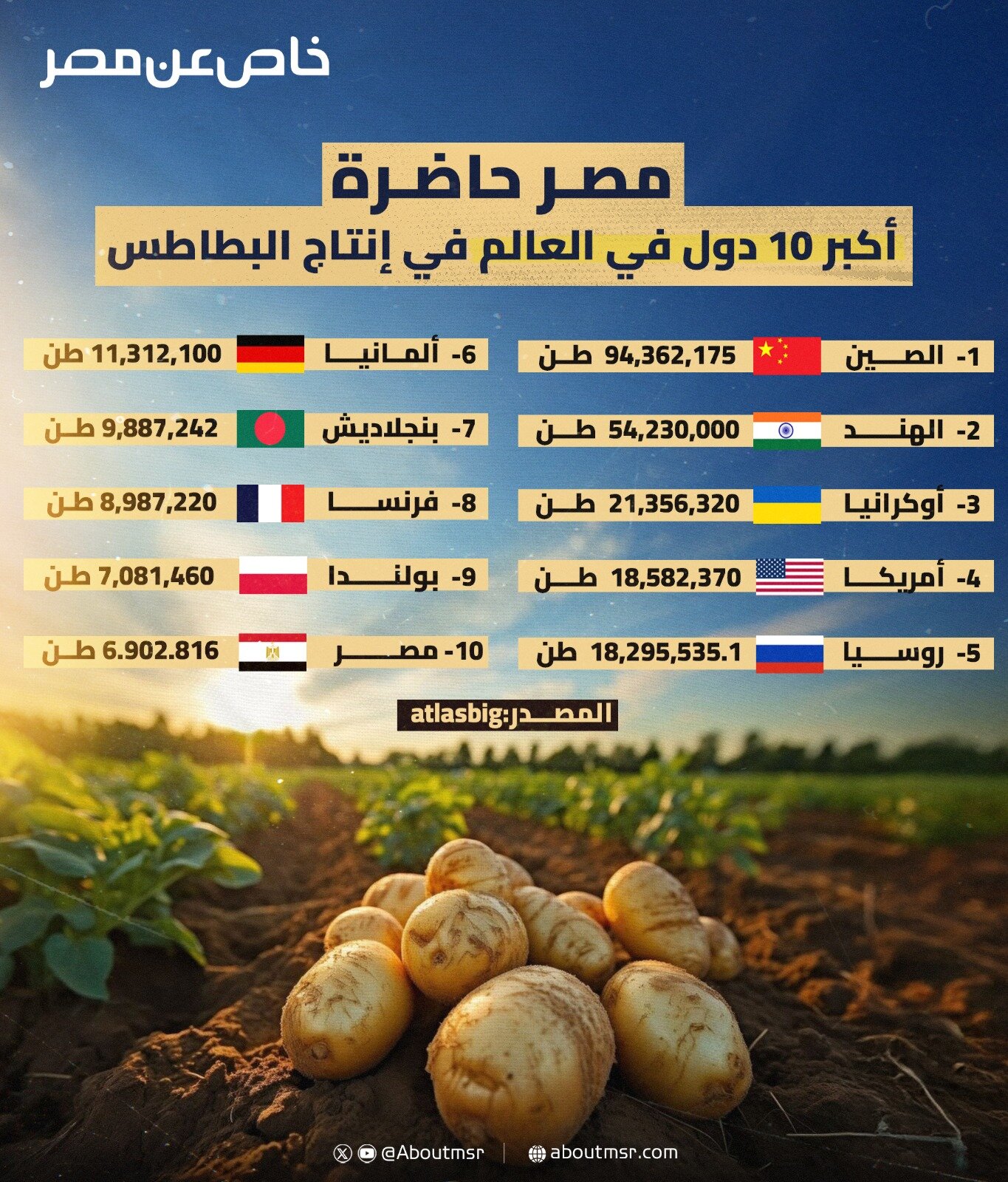 مصر حاضرة بقوة.. أكبر 10 دول في العالم في إنتاج البطاطس