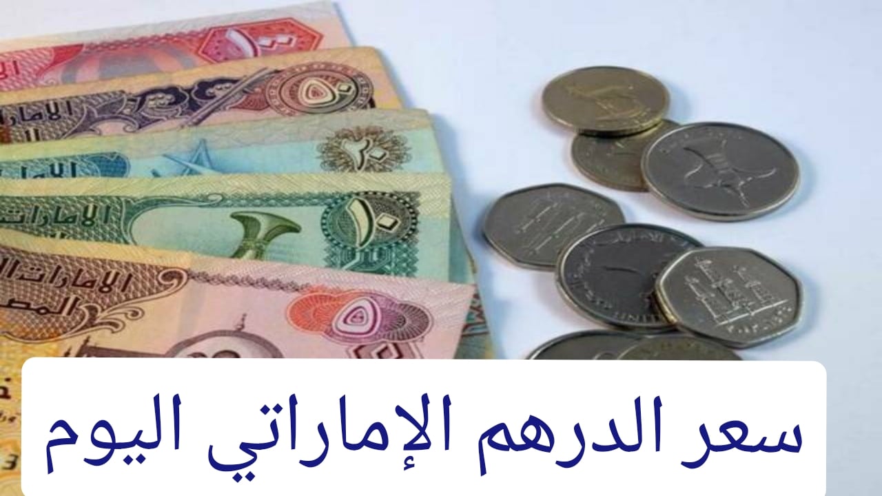 سعر الدرهم الاماراتي اليوم السبت 28 ديسمبر 2024 مقابل الجنيه المصري في البنوك