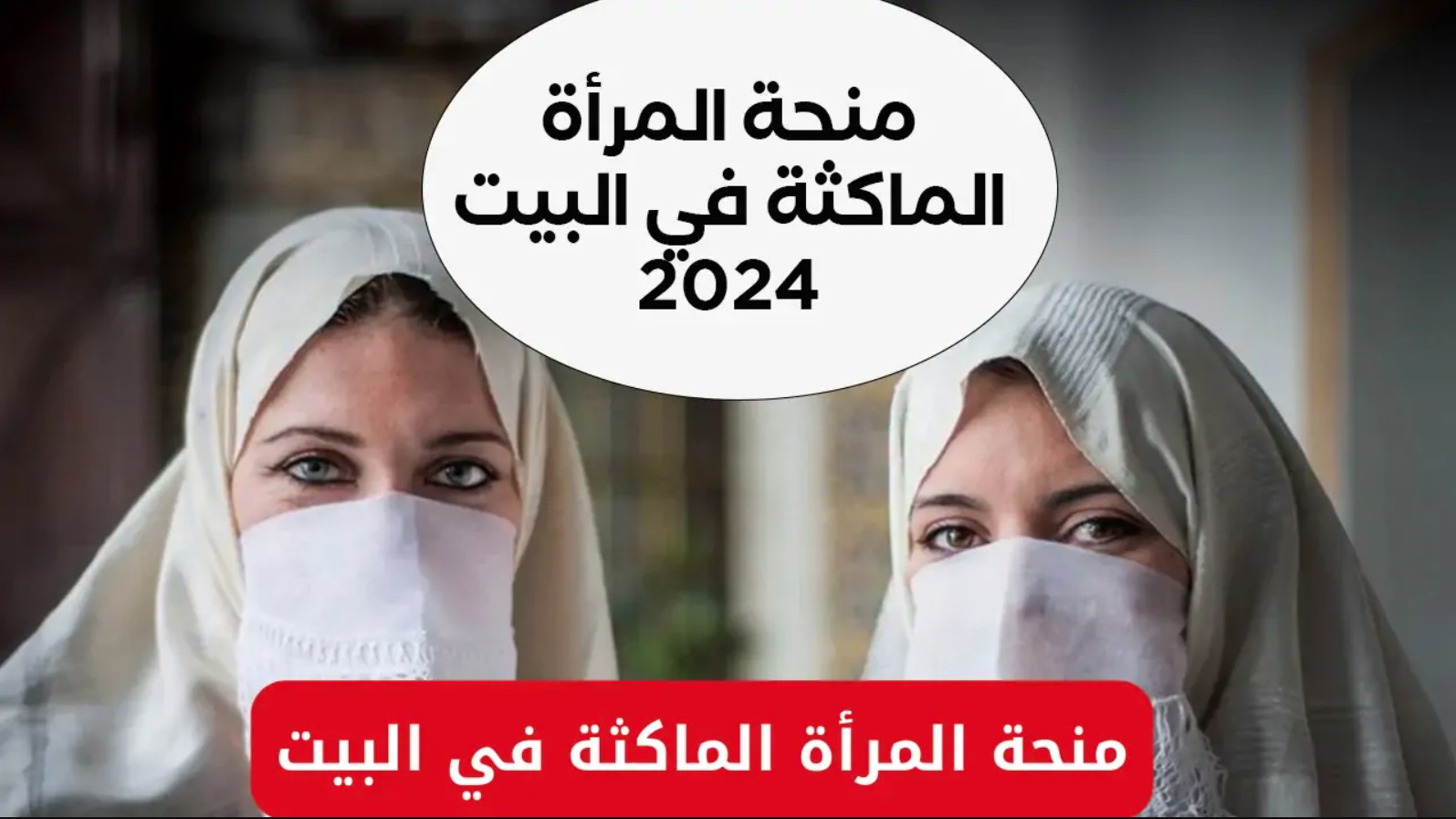 كيفية التسجيل في منحة المرأة الماكثة في البيت 2024 عبر تلك الرابط anem.dz.. وكم تبلغ قيمة المنحة هذا العام؟