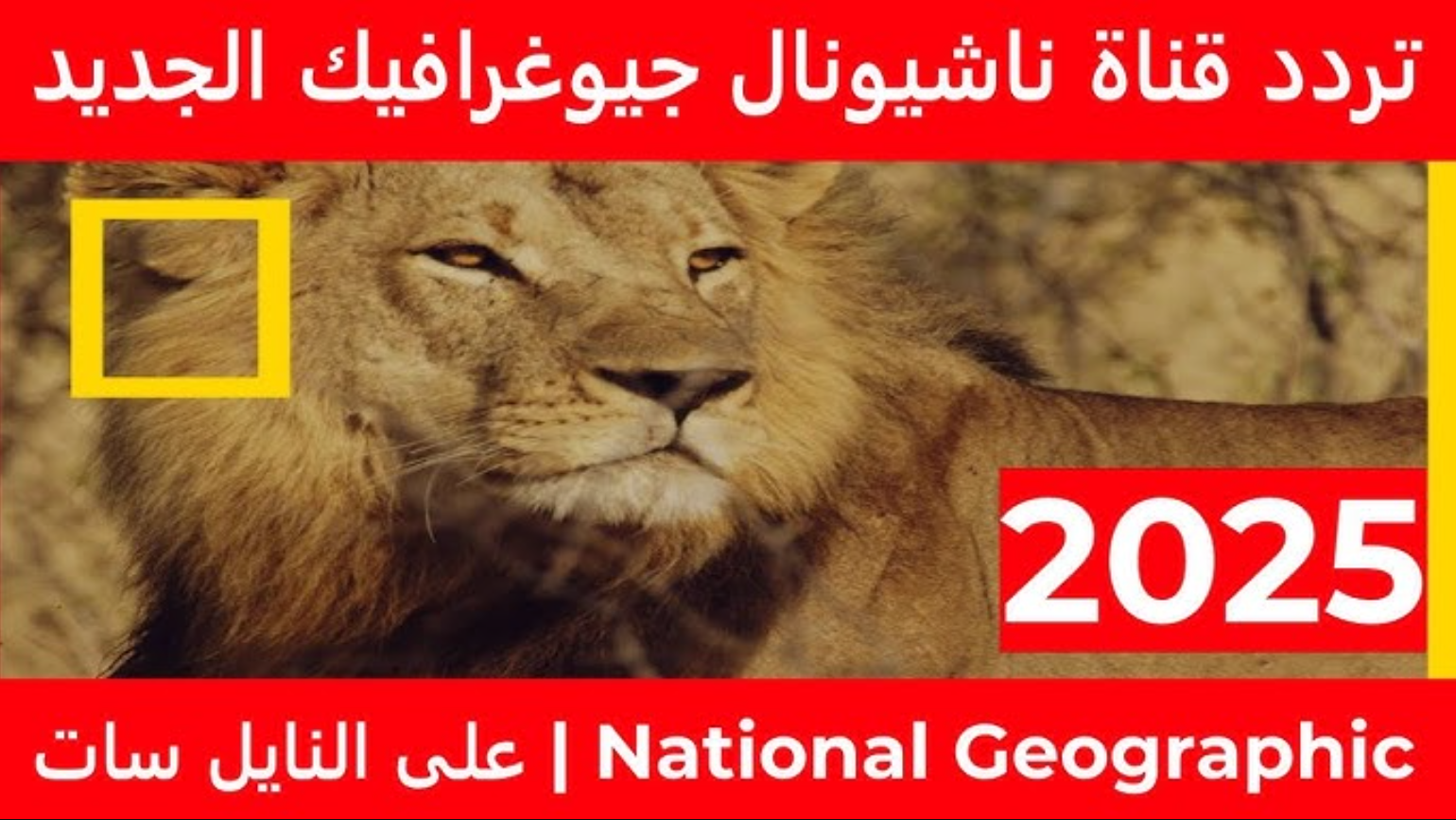 حدث تردد قناة ناشيونال جيوغرافيك 2025 نايل سات وتعرف على المزيد من عالم الطبيعة والحيوانات