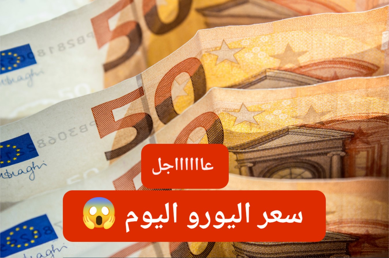 سعر اليورو اليوم الموافق 31 ديسمبر 2024 بيع وشراء للمستهلكين داخل كافة البنوك المصرية