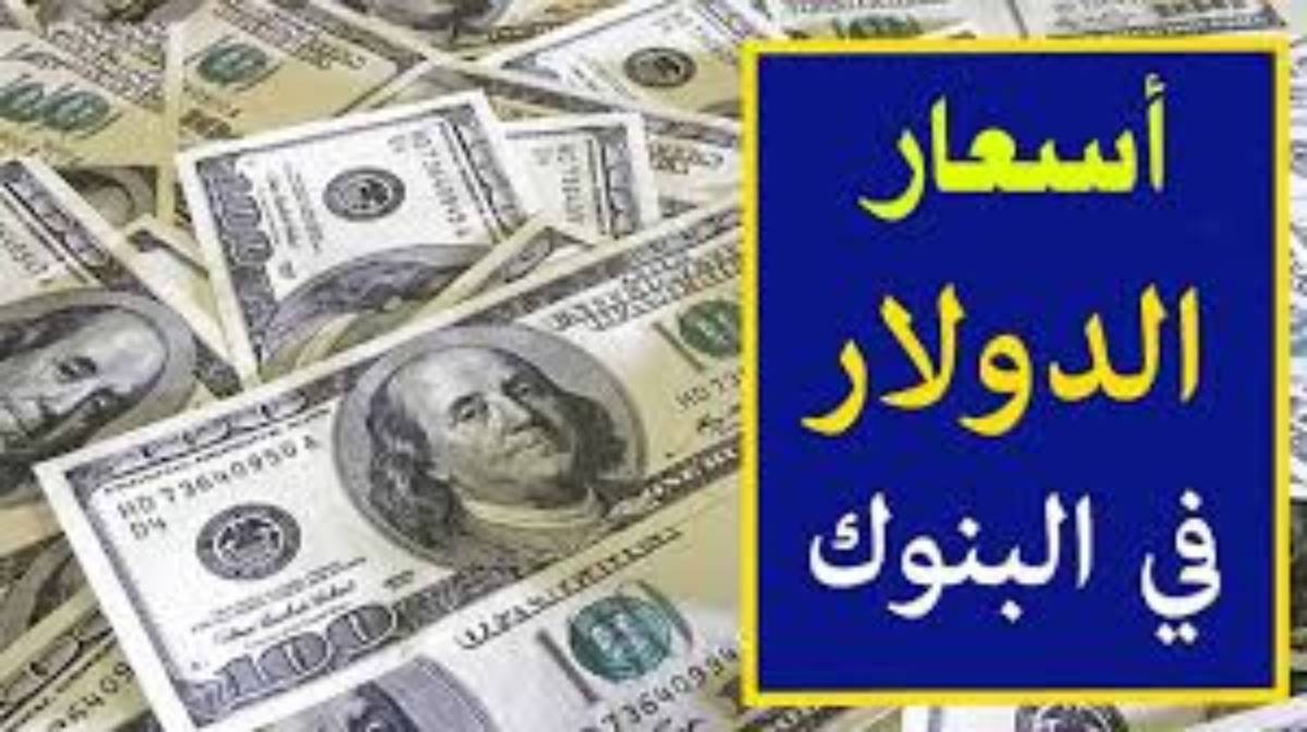 سعر الدولار اليوم بنك مصر الثلاثاء 24 ديسمبر 2024 وفق آخر تحديث صادر عن البنوك بختام التعاملات