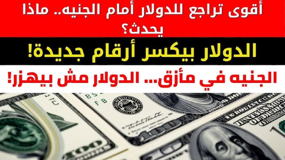 سعر الدولار اليوم مقابل الجنيه المصري في كافة البنوك الحكومية والخاصة .. إستقرار مع تراجع