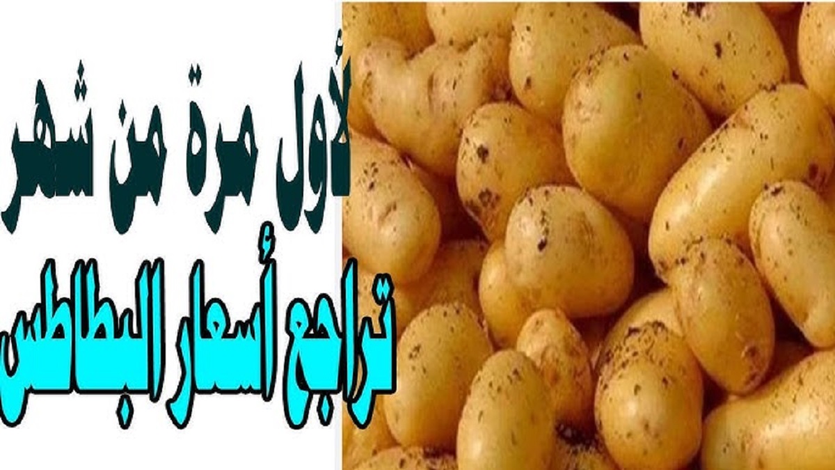 تراجع سعر البطاطس اليوم الإثنين الموافق 30-12-2024 في سوق العبور