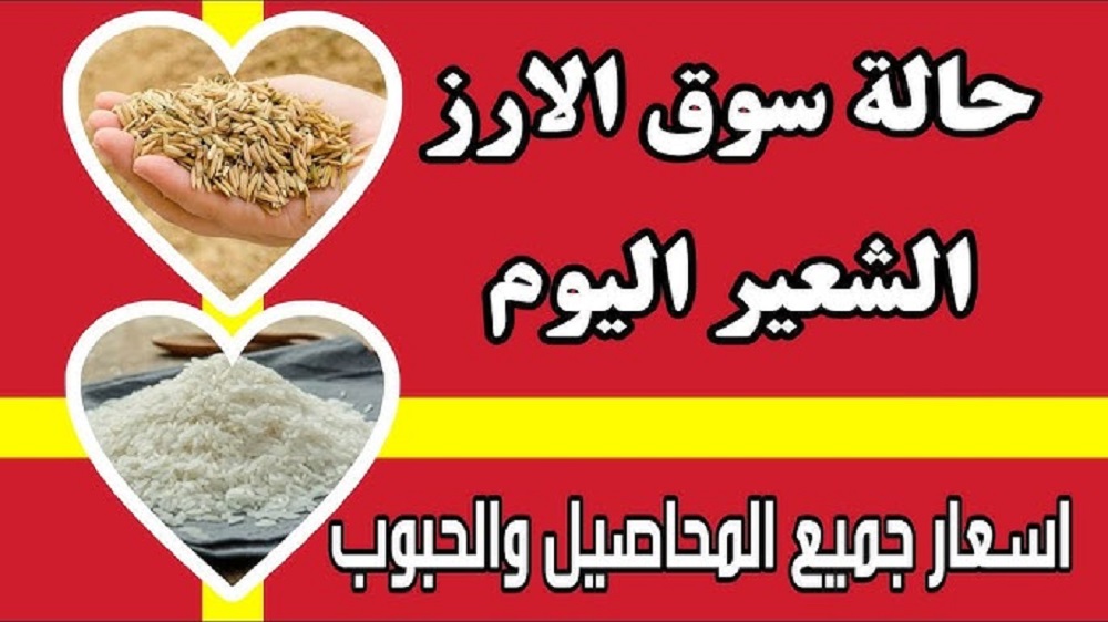 “الحبه الرفيعة والعريضة”.. سعر طن الأرز الشعير اليوم الثلاثاء للتجار في مصر