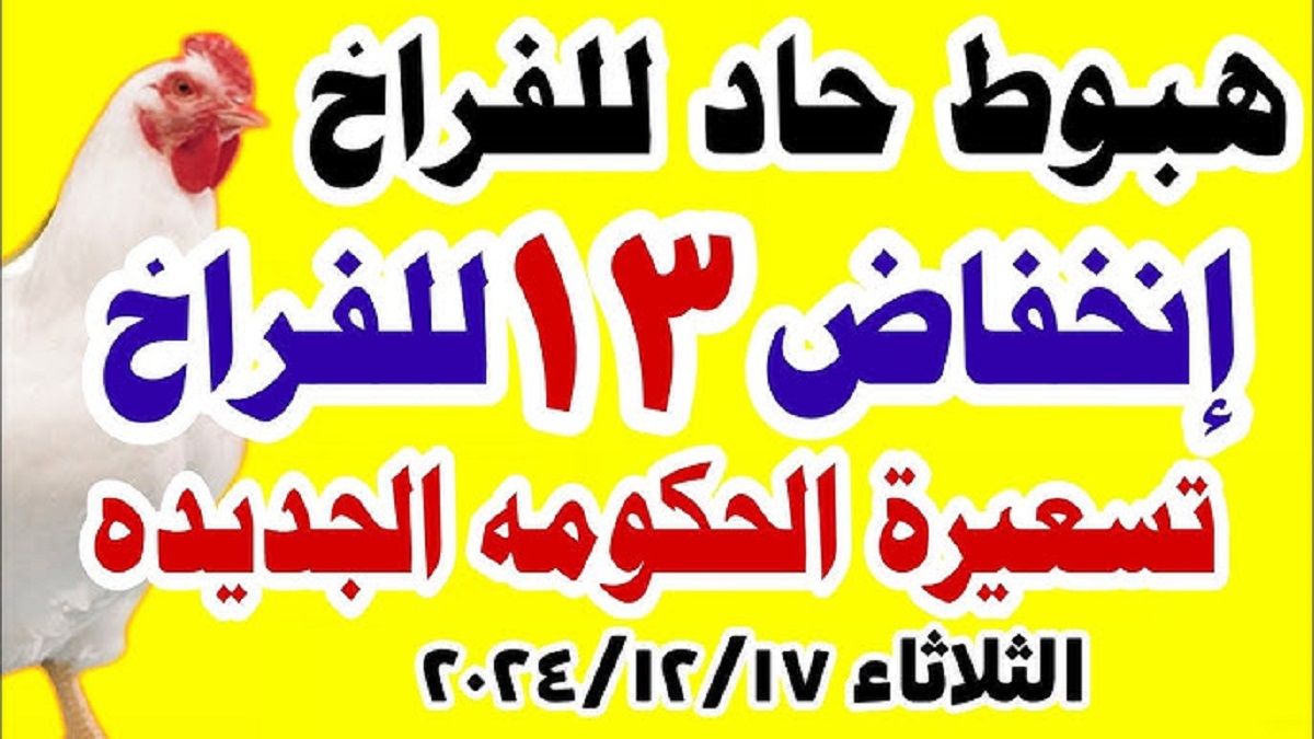 بورصة الدواجن اليوم توضح أسعار الفراخ البيضاء والبلدي الثلاثاء الموافق 17-12-2024 .. إستقرار تام