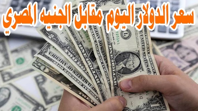 تباين سعر الدولار اليوم مقابل الجنيه المصري الثلاثاء 31-12-2024 في البنوك