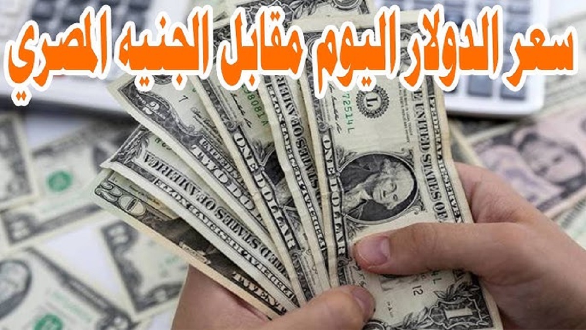 هدوء في سعر الدولار اليوم مقابل الجنيه المصري بجميع البنوك للشراء و للبيع